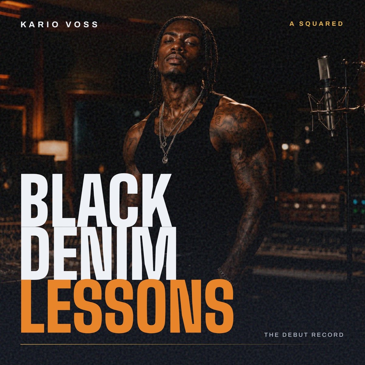 Black Denim Lessons cover art
